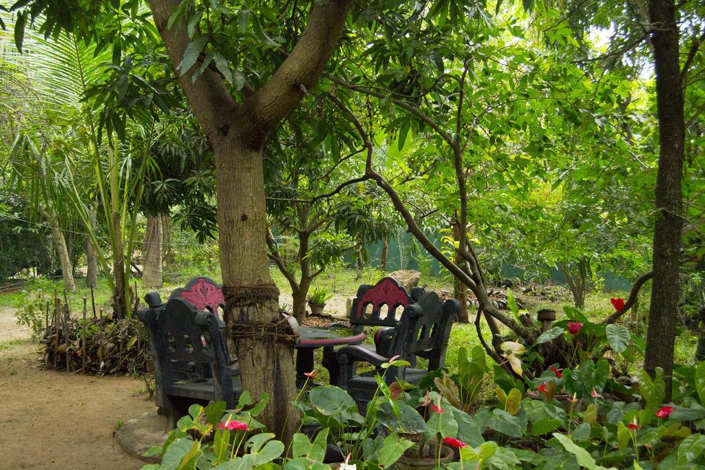 Shady Mango Villa Sigiriya Exterior photo